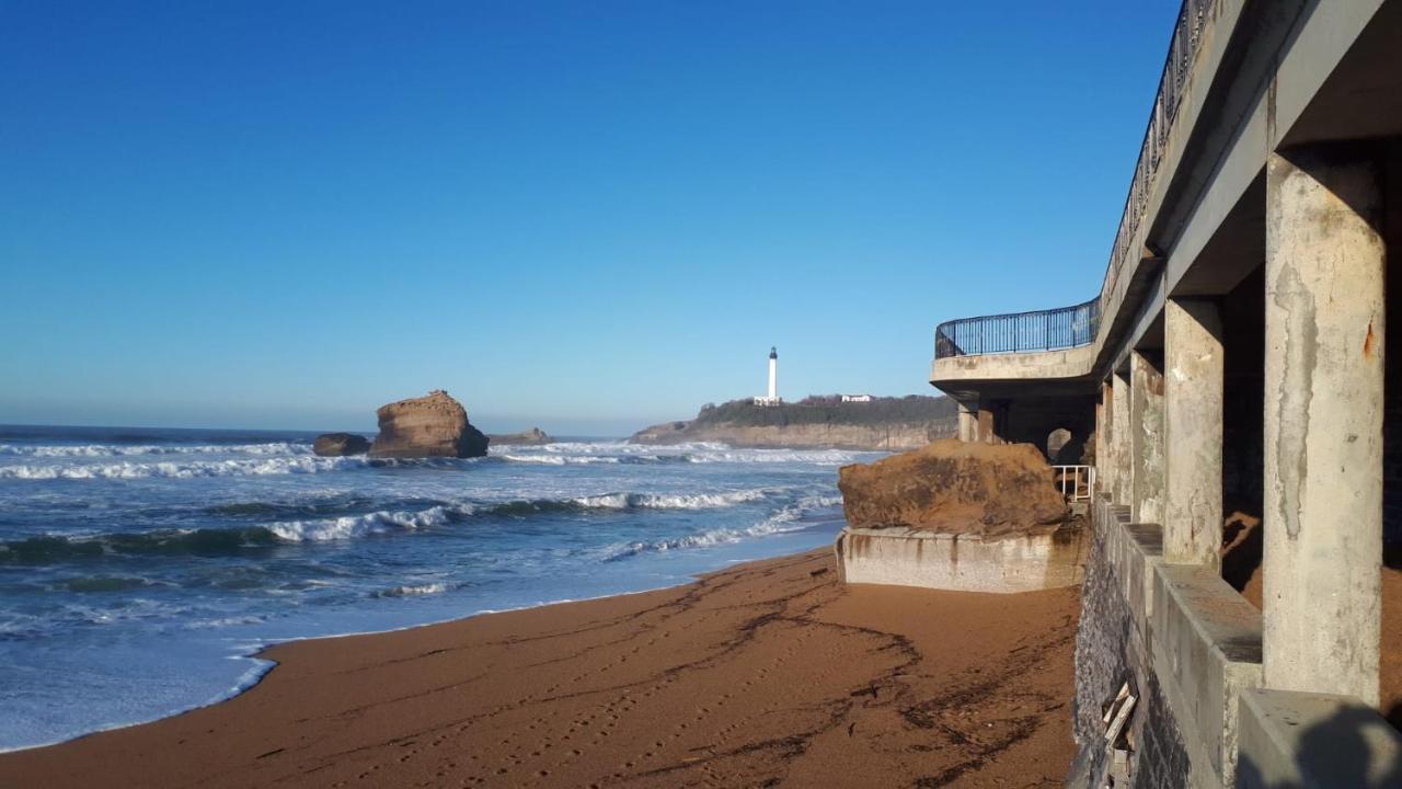Studio Et Piscine Sur La Grande Plage เบียริตซ์ ภายนอก รูปภาพ